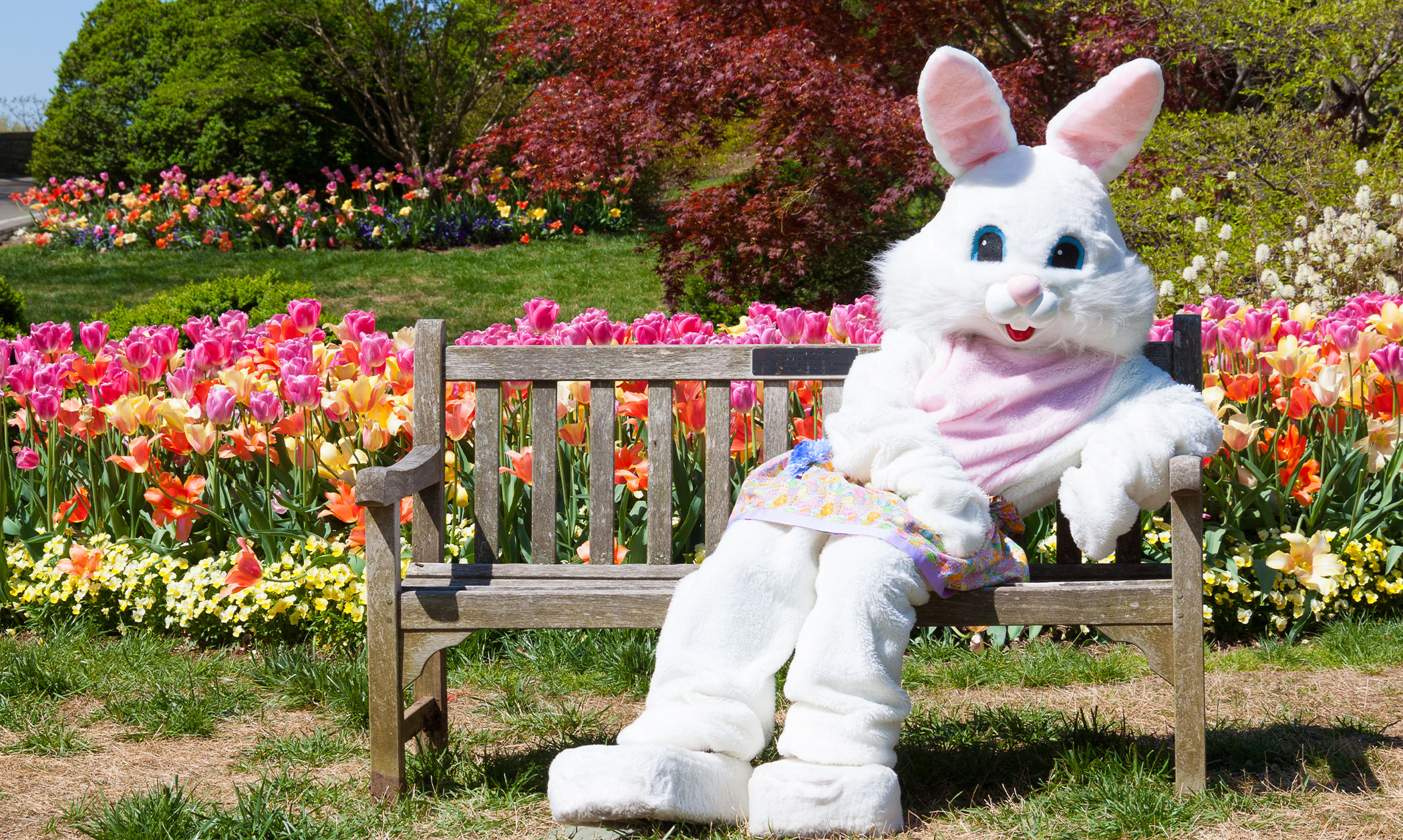 Claim Your FREE Easter Bunny Photos at Bass Pro Shops and Cabela’s